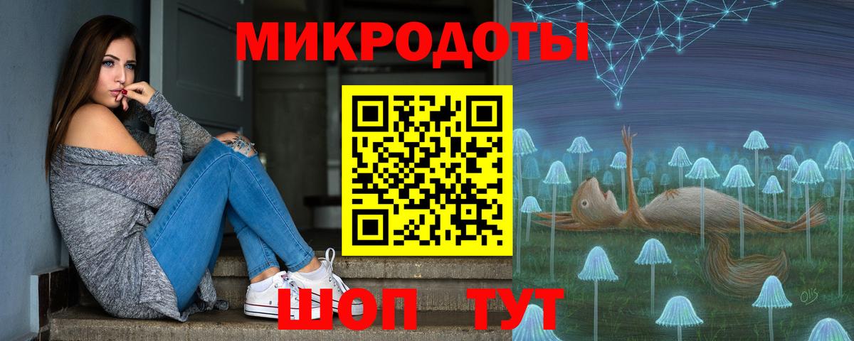 Псилоцибиновые грибы Psilocybine cubensis Ефремов