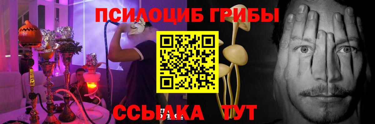 Псилоцибиновые грибы Psilocybe  Вход с VPN  Псилоцибиновые грибы GOLDEN TEACHER  Ефремов 